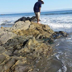 Meet your Posher, Sal